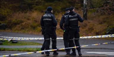 Polis i Norge