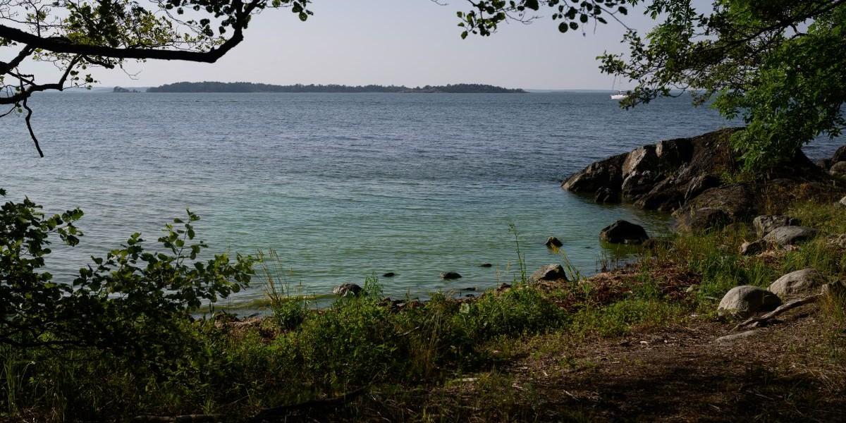 Ny metod kan rädda Östersjön