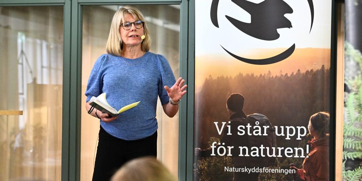 Menar att storbanker vilseleder om gröna fonder