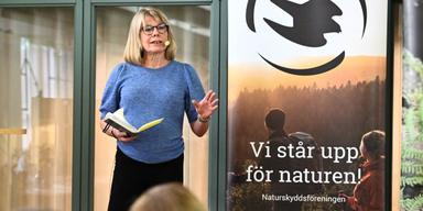 Menar att storbanker vilseleder om gröna fonder