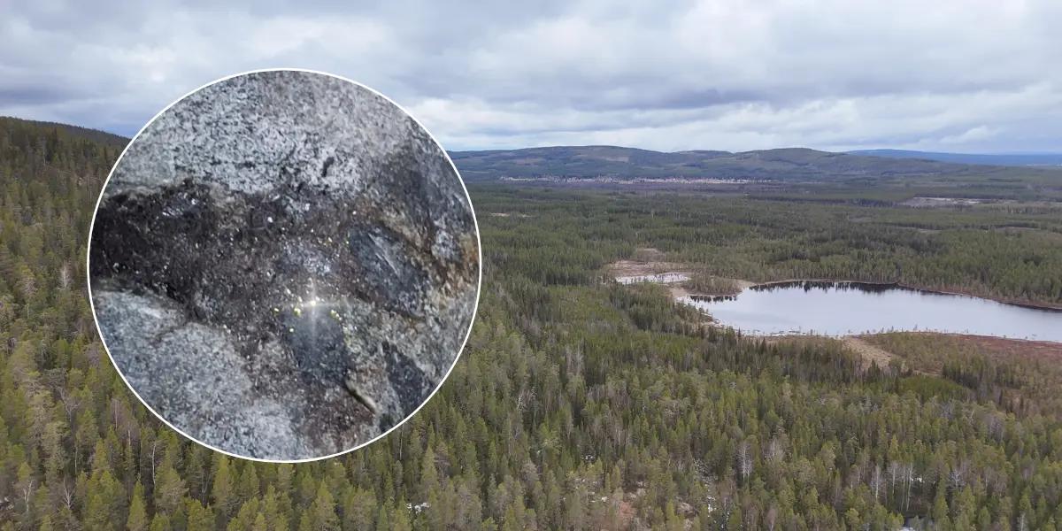 Oväntat stort svenskt guldfynd