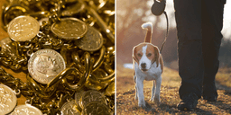 Hundpromenad slutade med guldfynd – på egna tomten