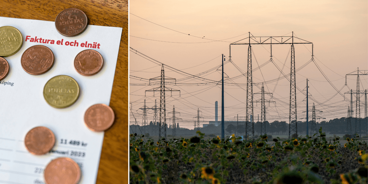 Elåret 2026 kan komma att likna elåret 2025, tror experterna