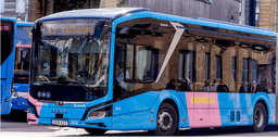 Rese-boomen räddaren i den offentliga nöden