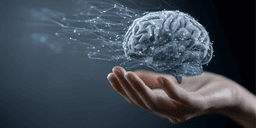 Din hjärna förändras helt fyra gånger i livet – vid dessa åldrar