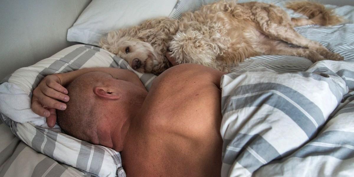 Sömndrycker allt hetare i USA