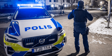 Polise säger nej till elbilar. Det går helt enkelt inte. (Foto: Johan Nilsson/TT)