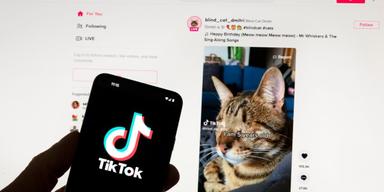 Analys av TikTok-videos är kapitalförvaltaren BlackRocks senaste verktyg för att med hjälp av data förfina sina börs- och aktieanalyser.