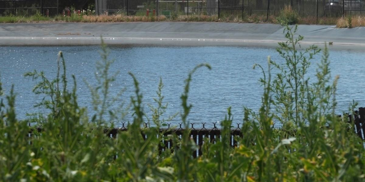 En dansk startup renar evighetskemikalier med upp till 99 procent.