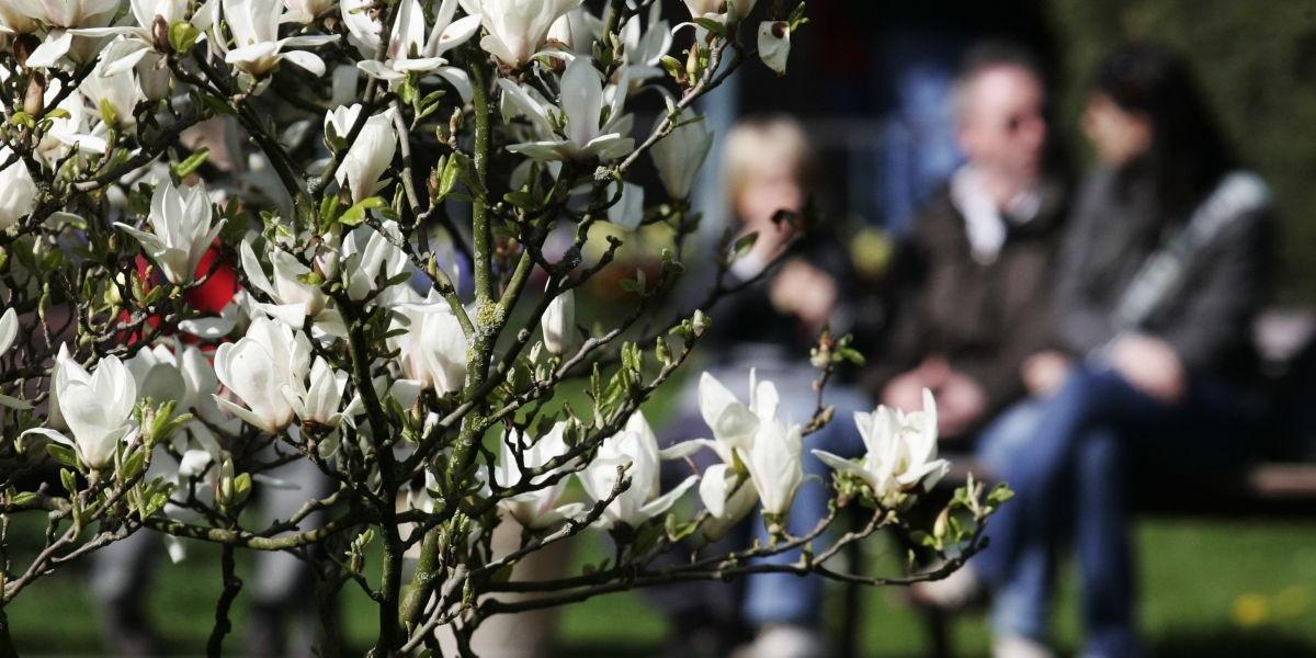 Gör något kul och slipp inflammationer - experternas råd