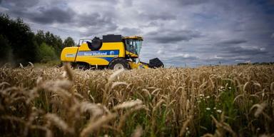 Cinis ser ut att bli ännu ett av de gröna projekt som slutar i konkurs