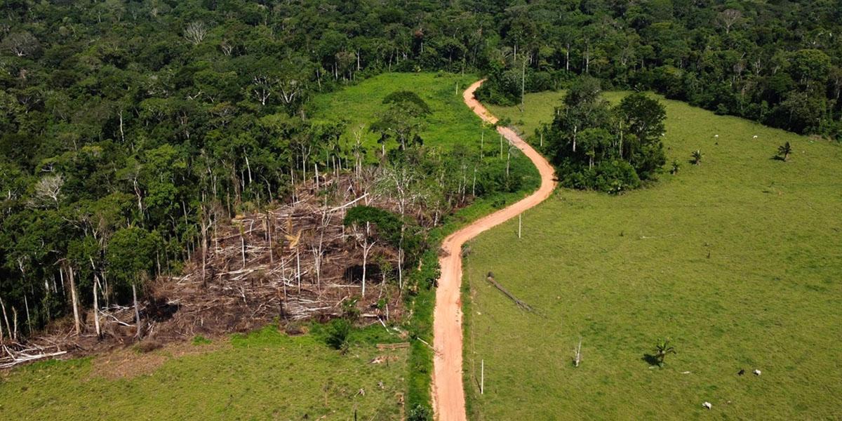 Amazonas