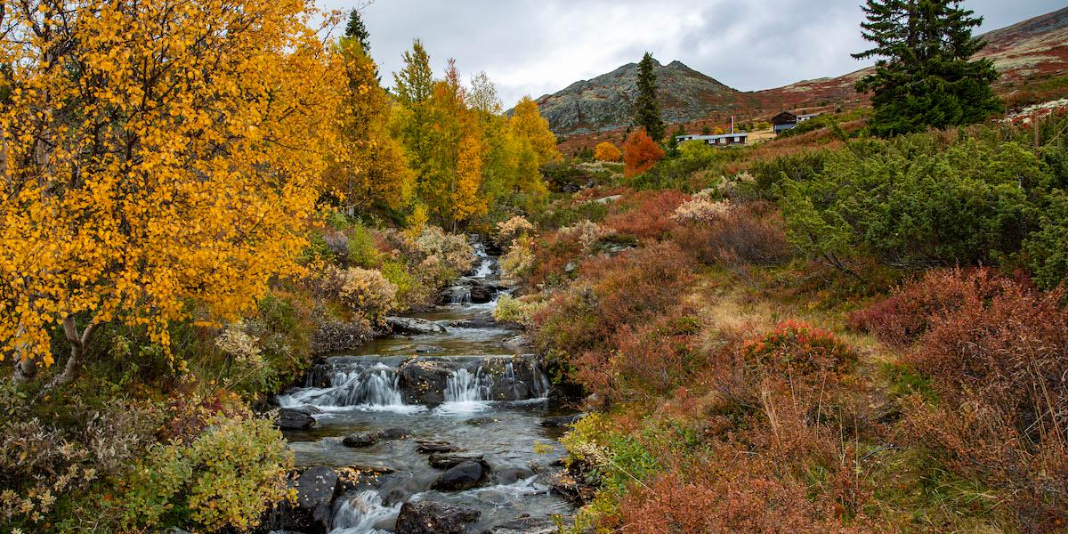 Norge Sverige