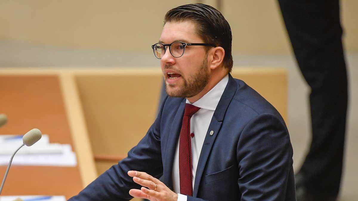 SD med Jimmie Åkesson i spetsen fick ingen majoritet för misstroendeförklaringen mot statsminister Stefan Löfven (S). (Foto: TT)