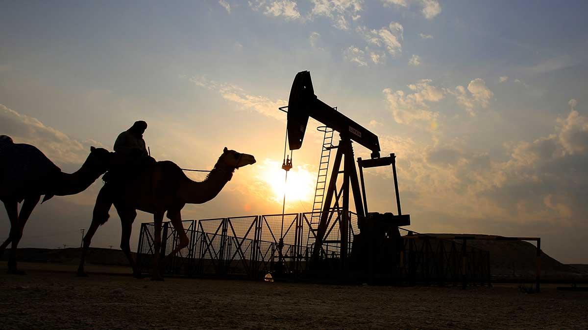 Bahrain meddelar att man har gjort det största oljefyndet på mer än 80 år