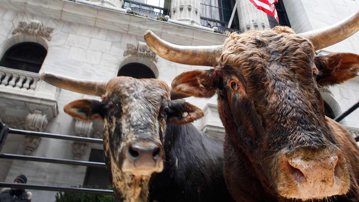 Morgan Stanley utfärdar en varning att slutet är nära för bullmarknaden