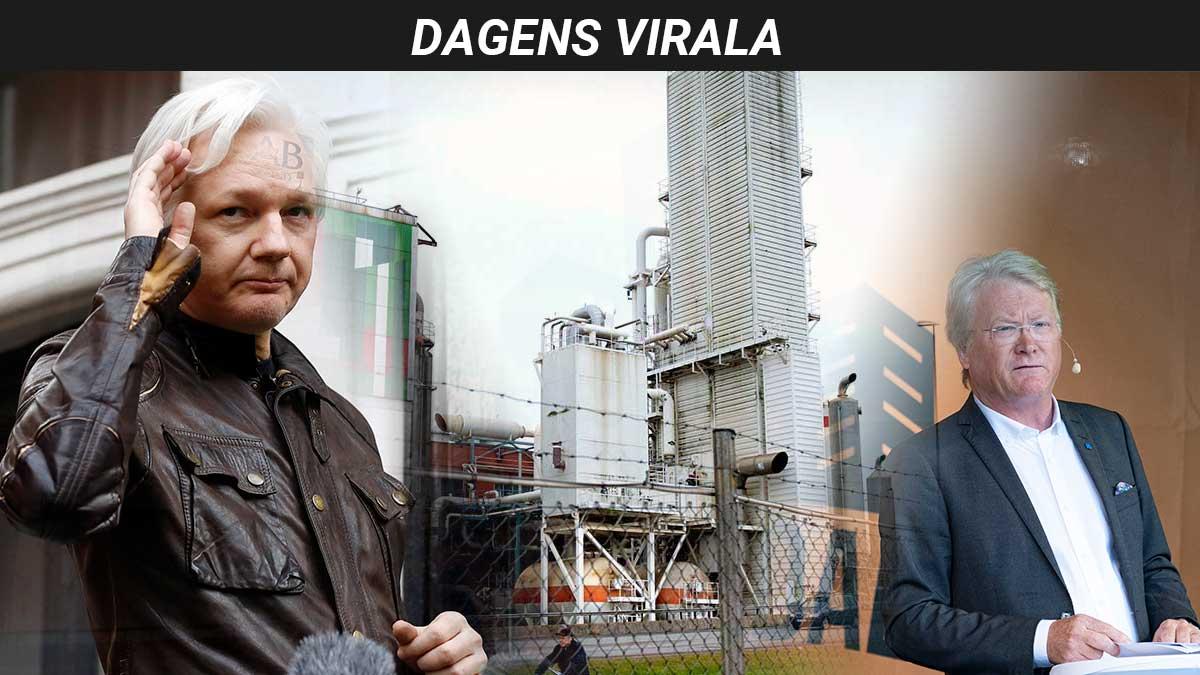 dagens-virala-assange-miljöbovar-adaktusson