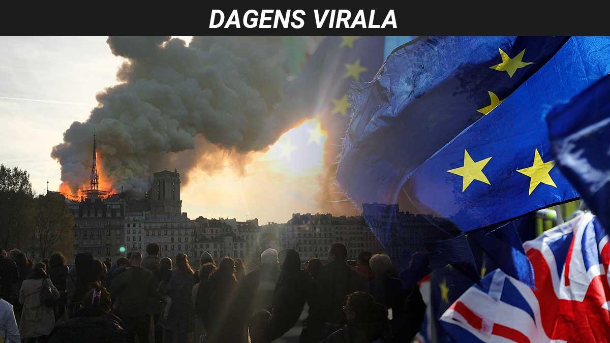dagens-virala-notre-dame-eu-val