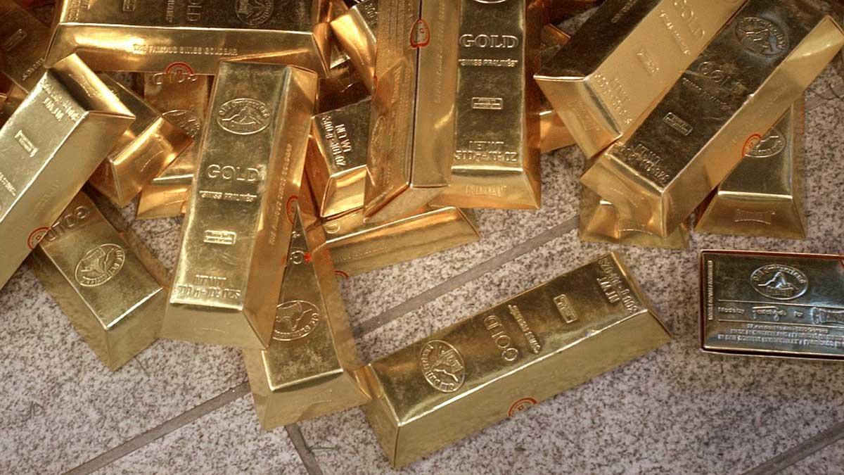 M-politikern misstänks ha förskingrat 48 miljoner som enligt honom själv skulle finansiera en påstådd guldtransport. (Foto: TT)