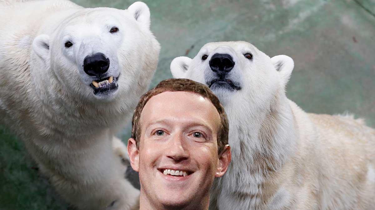 Mark Zuckerberg hyllar Luleå