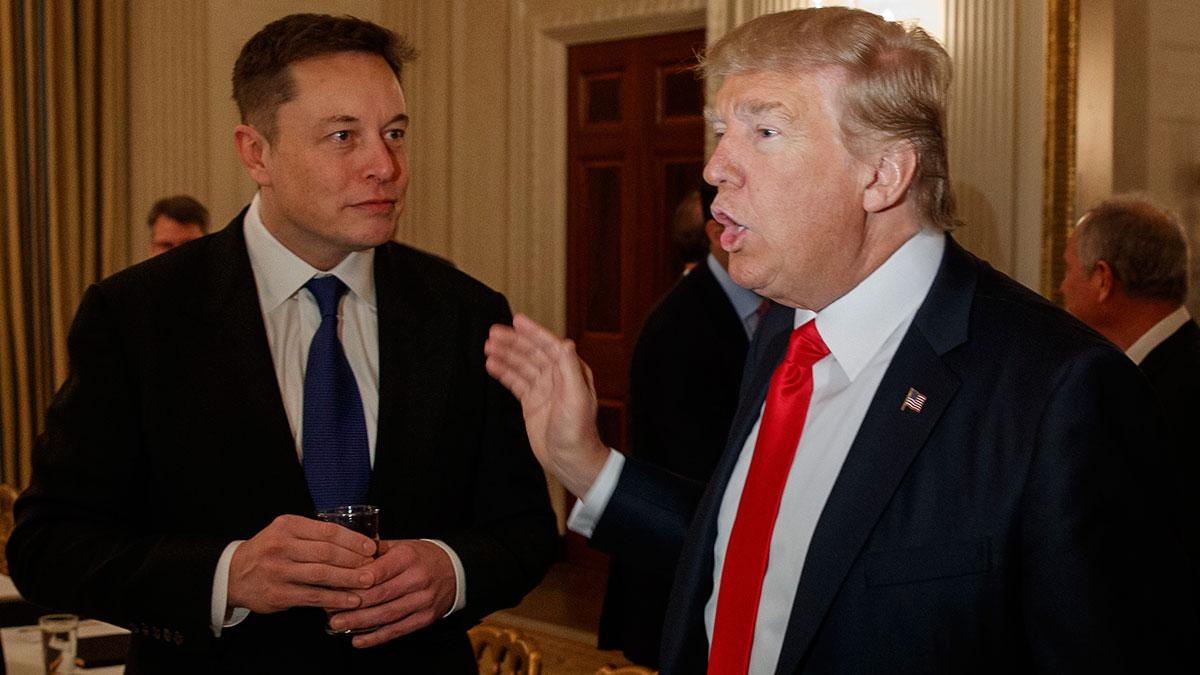 Elon Musk är en av teknikdirektörerna som pytsar in pengar till Donald Trump. (Foto: TT)