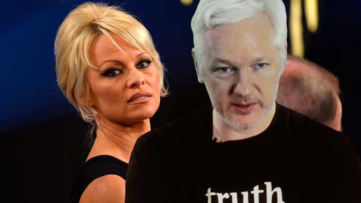 Julian Assange är Pamela Anderssons hjälte. (Foto: TT / montage)