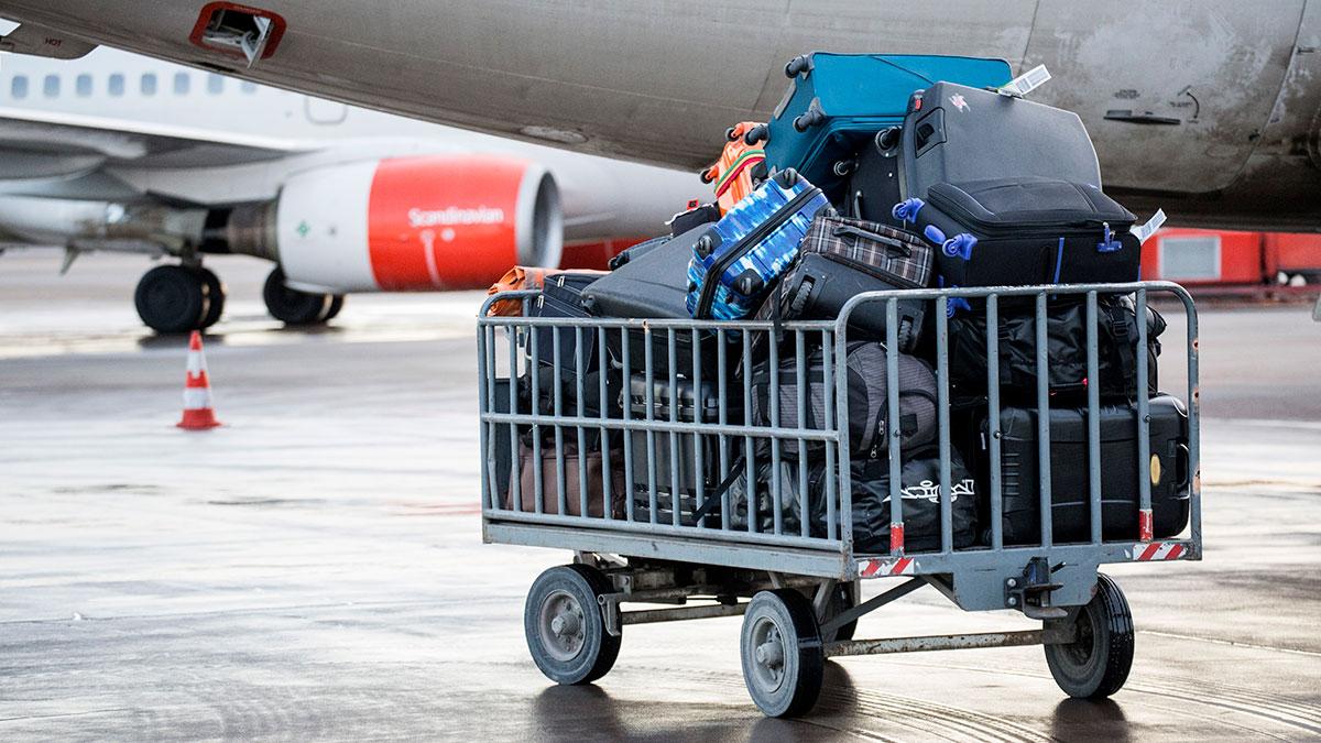 Svenskarna har blivit mer benägna att packa resväskan och bege sig i väg utomlands på senare år
