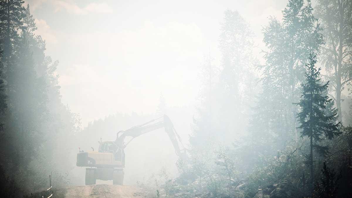 Statens skogsmark står i lågor. Ytan som gått upp i rök motsvarar enligt uppgift 6.000 fotbollsplaner. (Foto: TT)