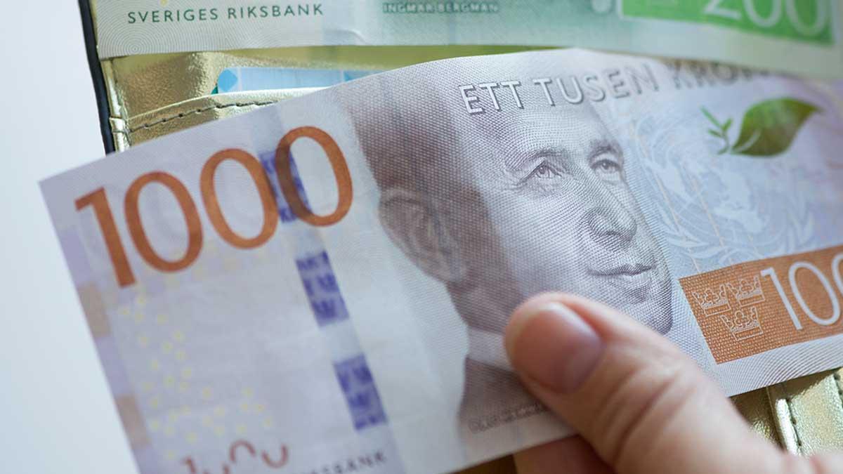 Finansinspektionen på stärkt kapitalbuffert för bankerna välkomnas av Riksgälden. (Foto: TT)