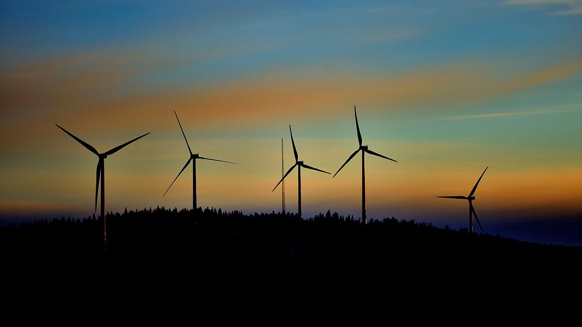 Vindkraft väntas bli Europas viktigaste energikälla redan år 2027. (Foto: TT)