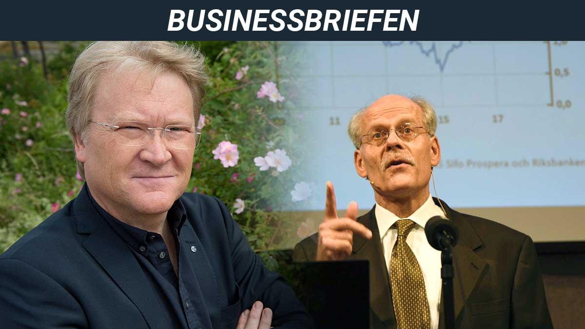 businessbriefen-adaktusson-riksbanken-ekonomin