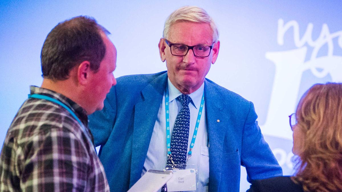 carl-bildt-svenska-kronan-pinsamt