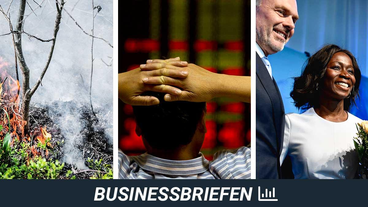 businessbriefen-skogsbrand-oasmia-sabuni-liberalerna