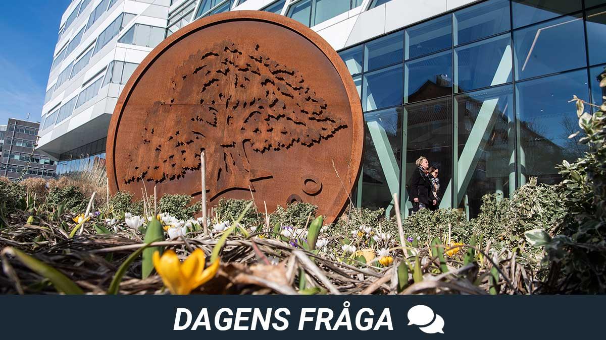 dagens-fråga-swedbank-göran-persson