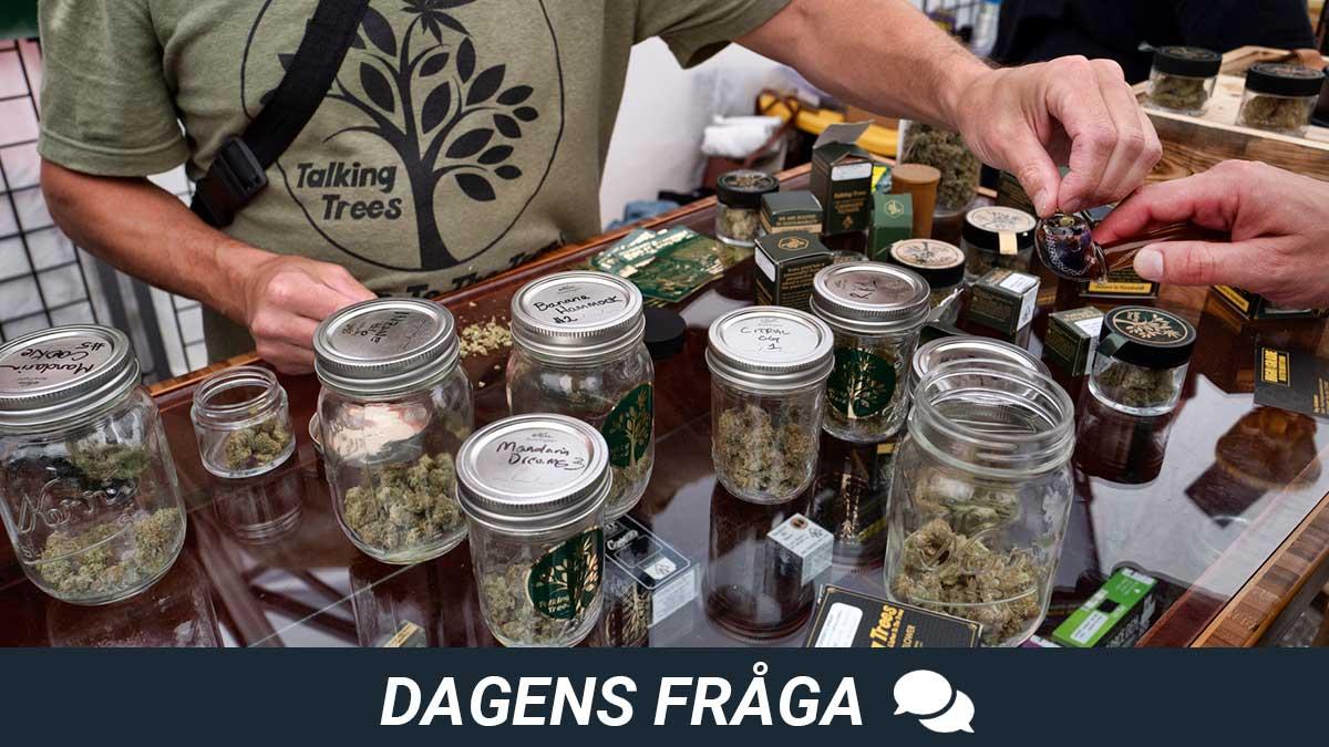 dagens-fråga-marijuana-legalisering