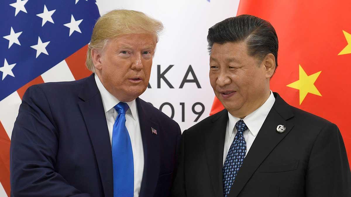 USA:s president Donald Trump och Kinas president Xi Jinping i juni 2019 (Foto: TT)