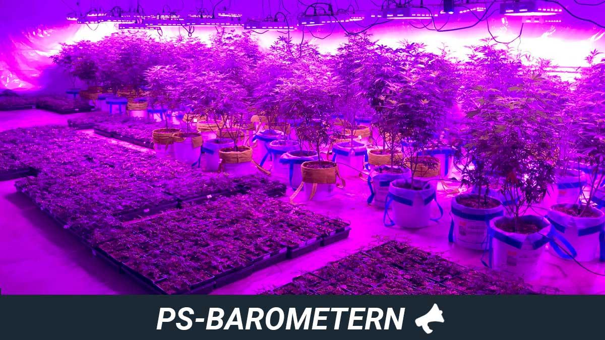ps-barometern-marijuana