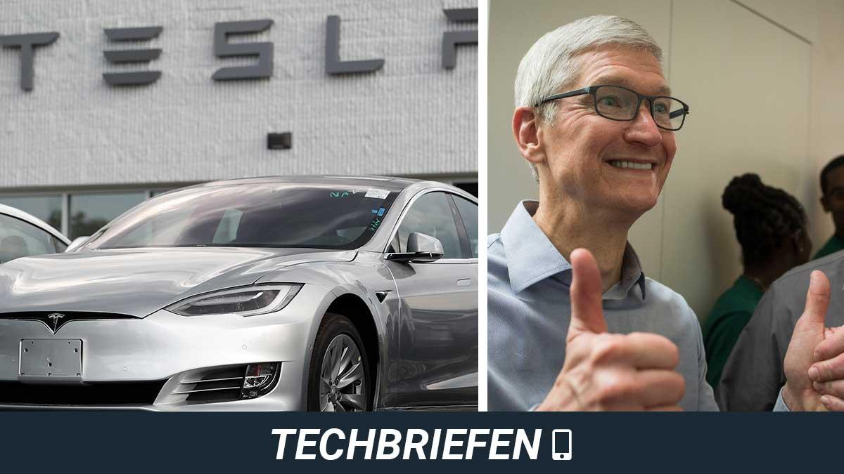 techbriefen-tesla-apple-tim-cook