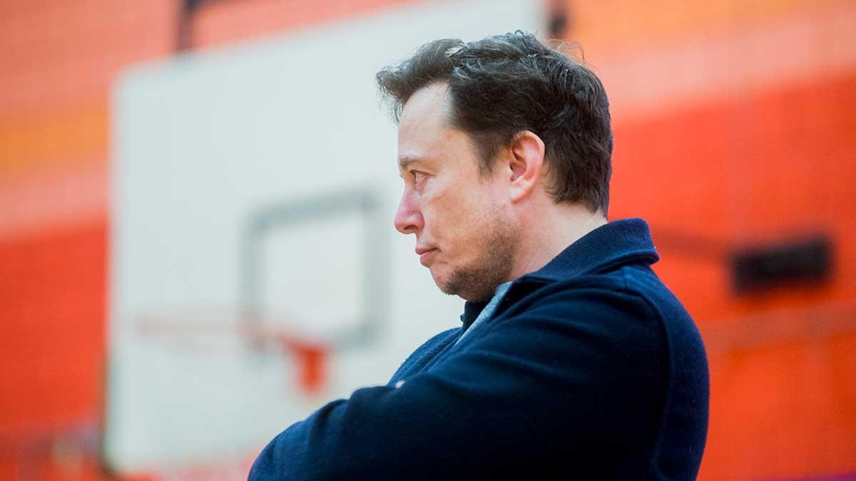 Teslabossen Elon Musk. (Foto: TT)