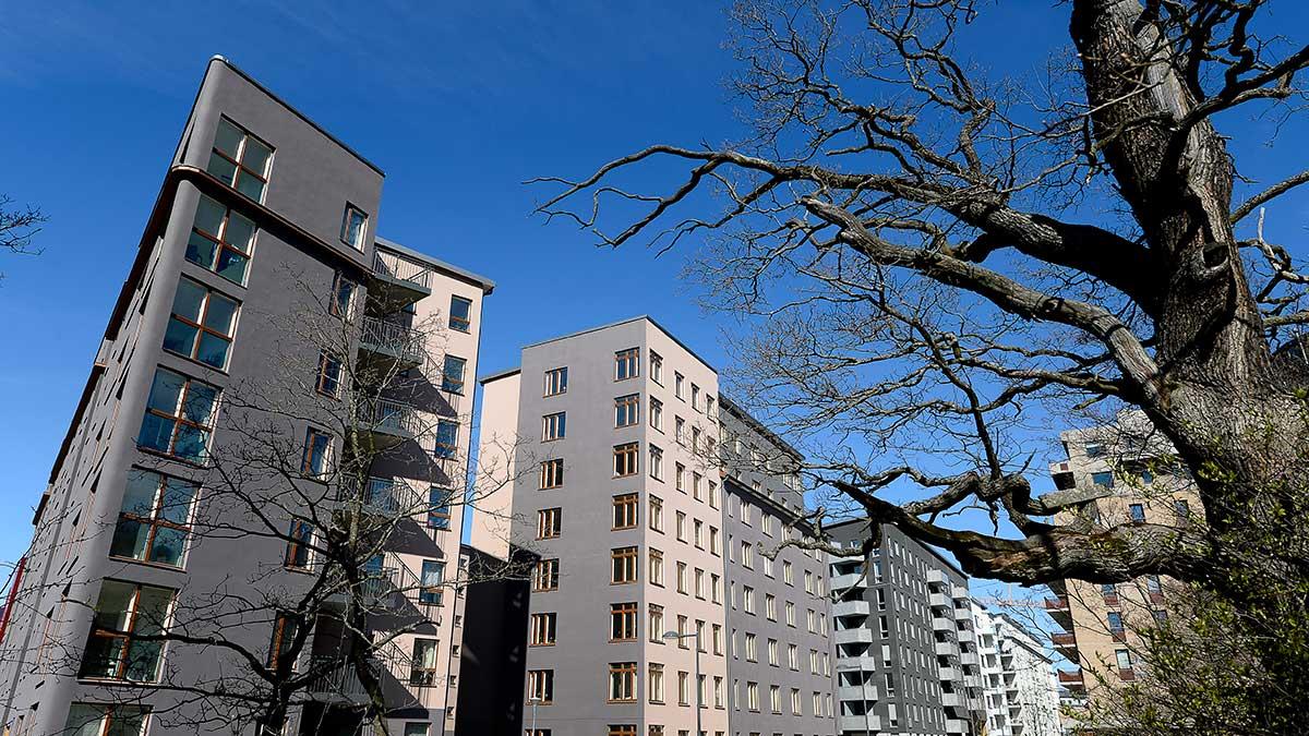 Priserna på den svenska bostadsmarknaden fortsätter att öka, rapporterar Valueguard. (Foto: TT)
