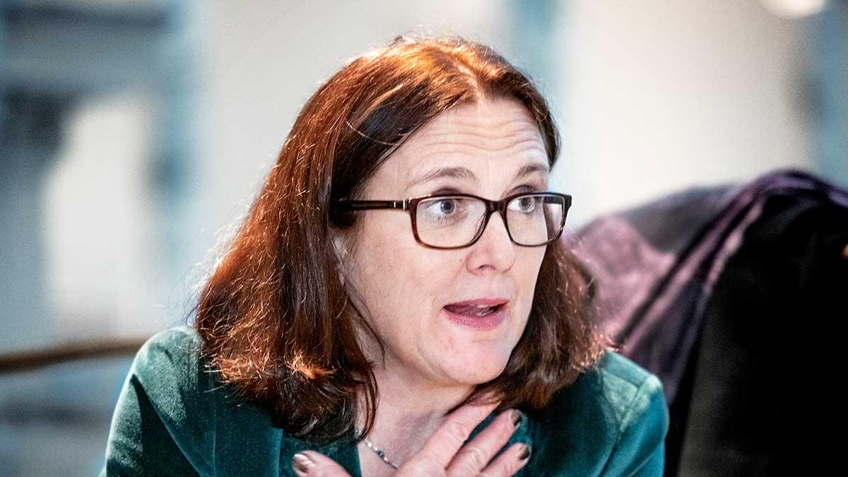 USA kommer snart att införa tullar mot EU, uppger unionens handelskommissionär Cecilia Malmström. (Foto: TT)