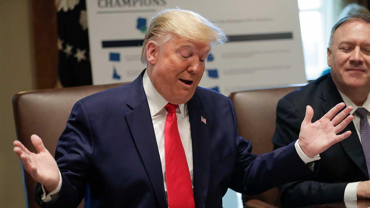 donald-trump-kelly-ann-shaw-handelsrådgivare