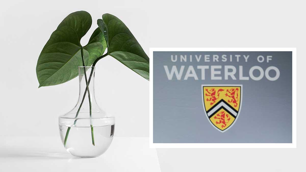 artificiellt-löv-university-of-waterloo