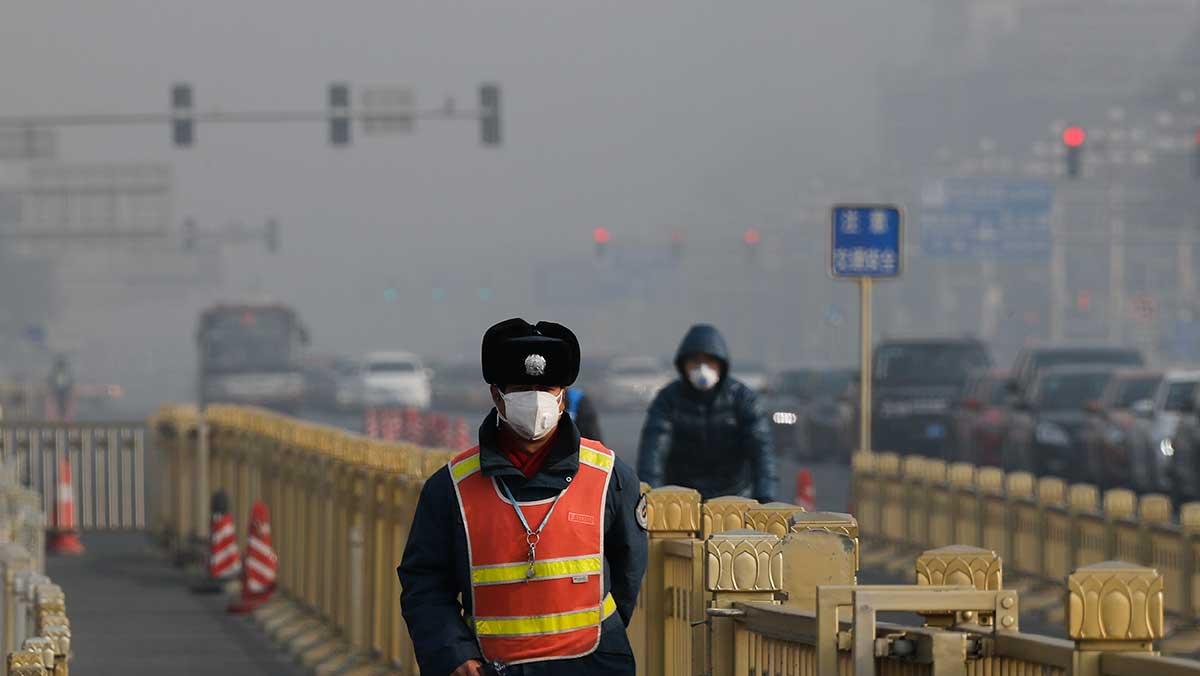Ju längre tid människor utsätts för dålig luft, desto mer påverkas intelligensnivån negativt. (Foto: TT)