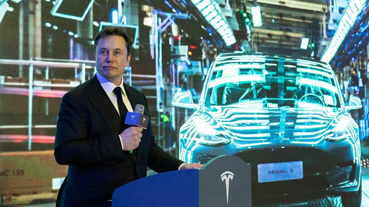 Tesla-aktien rusar men nu befarar experter att en brutal kursslakt stundar för Elon Musks (bilden) elbilsföretag på börsen. (Foto: TT)