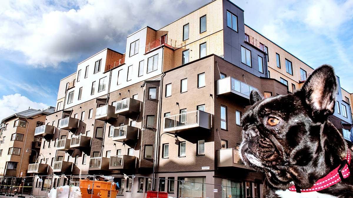 bostadsrätter Stockholm