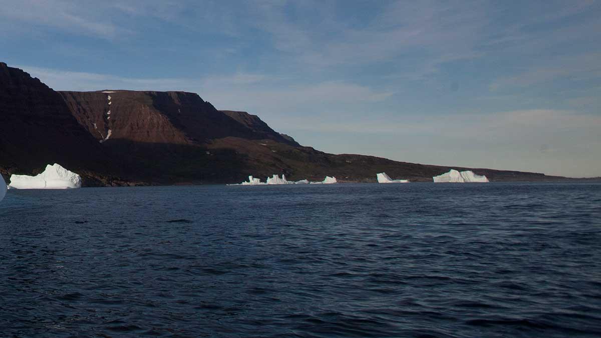 Intresset för mineralutvinning och gruvdrift till havs är stort, i synnerhet i Norge, men utmaningarna är betydande då risker finns att unika miljöer och djurarter skadas. (Foto: TT)