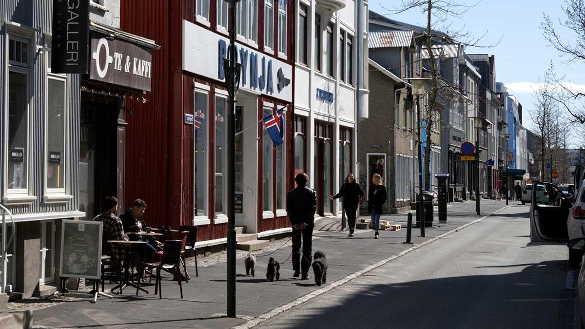Island har lägsta dödligheten i Norden och har i stort sett utrotat coronaviruset, rapporterar Dagens Nyheter. (Foto: TT)