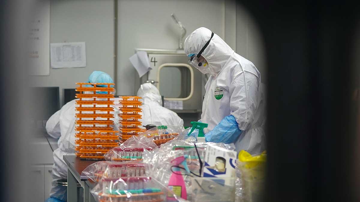 USA:s och Kinas ordkrig om coronaviruset sätter spår i börshandeln i Asien på torsdagsmorgonen. Bilden är från ett labb i Wuhan. (Foto: TT)