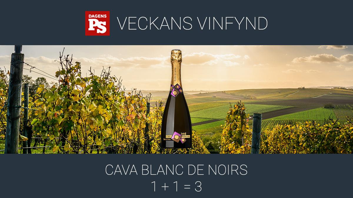 Veckans vinfynd Cava Blanc de Noirs 1+1=3 är ett mångsidigt bubbel från ekologiska odlingar. (Foto: Pexels)
